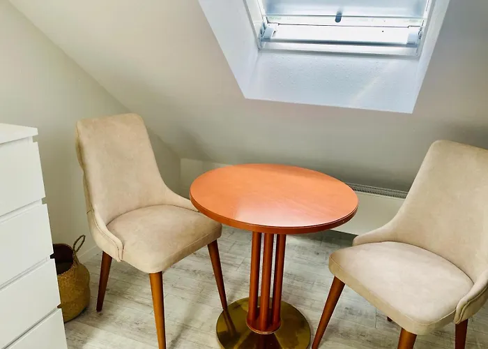 Daire Luxurioese Maisonettewohnung Am Weissen Hirsch - 